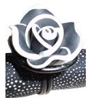 accessoire